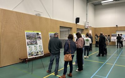 Gebiedsvisie Riel vastgesteld