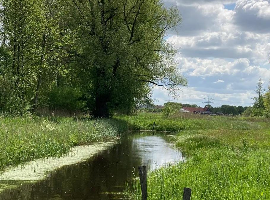 Natuur- en landschapsvisie Groen en gezond Helmond
