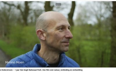 Documentaire De Onderstroom online