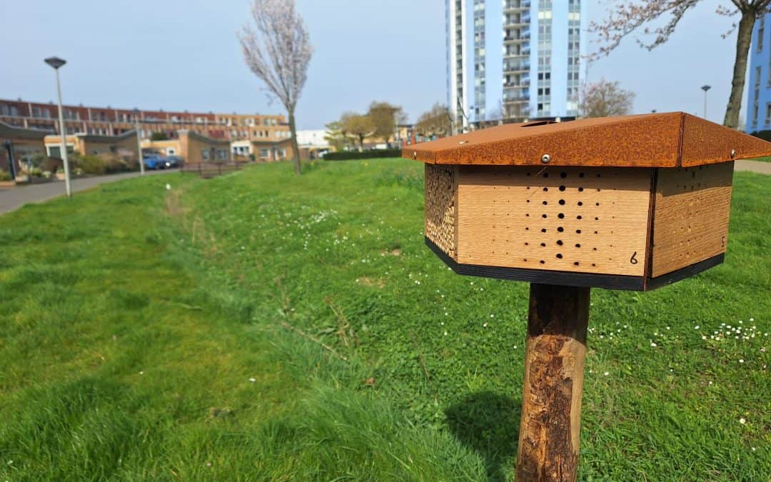 Groen als hoekstuk in de ruimtelijke ontwikkeling