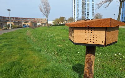 Groen als hoekstuk in de ruimtelijke ontwikkeling